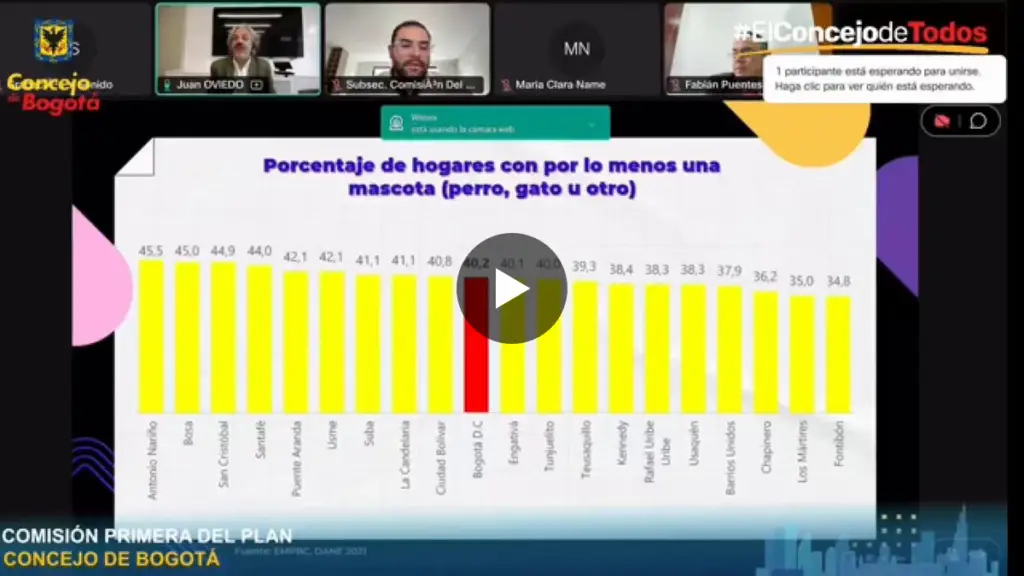 Bogotá es una ciudad de mascotas: 1 de cada 2 hogares tiene al menos un animal de compañía, y en 2/3 de ellos hay un perro.